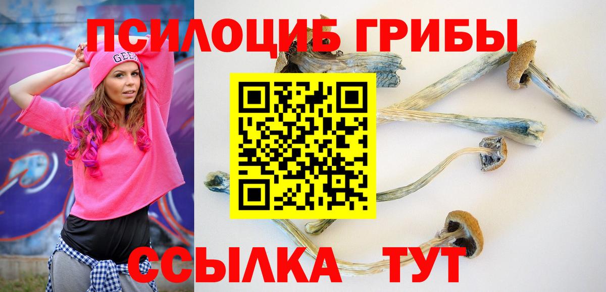 Галлюциногенные грибы ЛСД  Вход с VPN  Галлюциногенные грибы MAGIC MUSHROOMS  Кашира 