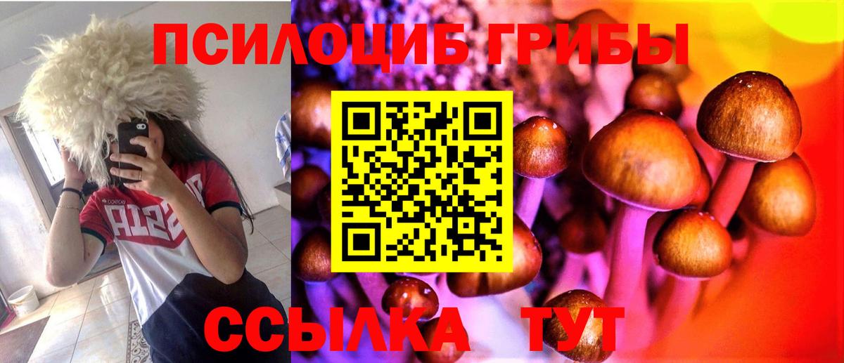 Галлюциногенные грибы MAGIC MUSHROOMS Кашира